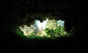 http://t2.gstatic.com/images?q=tbn:ANd9GcQN8OUJNzJZowDqh6LQIwv0UOsiXlJO2FL9Lr8Jmy8sdt9oN8Y5QQ