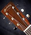 Buy a Guitar