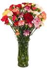 http://www.farmfreshflowers.com/images/flowers/mini-carnations.jpg