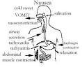 Treatment of Emesis