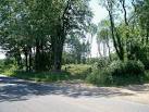 The way into The Warren. Seen from the minor road is this gateway into the - via Daymix