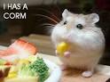 Cute Graphics and Animated Gifs. Cute
