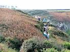 WV5955 : Ramblers on the Jersey Coast Path - via Daymix
