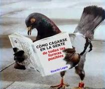 http://t2.gstatic.com/images?q=tbn:ANd9GcQNsElkOKMhCCYTEgb0B-zQGdVsu41YPsiRQ5buY7BpKyHU3VUiWjZ0eIFn5g