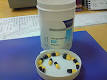 Benzodiazepine withdrawal syndrome - Wikipedia, the free encyclopedia
