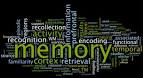 Ranganath's Dynamic <b>Memory</b>