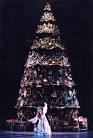 Miami City Ballet - The Nutcracker