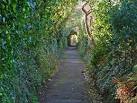 This footpath is named as Love - via Daymix