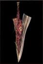 Soul Edge - SoulCalibur Photo (28258599) - Fanpop