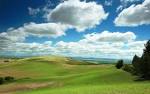 Llama Fields « Llama World