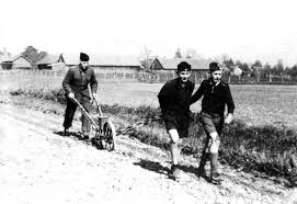 069-0053 Auf dem Felde von Lehrer Kusch. Hinten Guenter Kusch ...