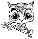 Owl coloring page