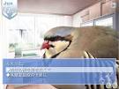 DISC] Anyone know some good dating sims? : Chatterbox!