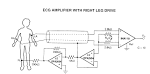 ECG Amplifier | How Circuits