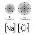 Multimedia  Represent Bonding with Lewis Dot Diagrams Chapter 4