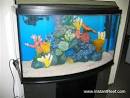 How to: Marine Aquarium set up? Salt water Fish Aquarium Setup.