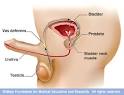 Mayo Clinic medical information and tools for healthy living ...