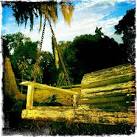 Alabama Swinger | Sally Asher Arts