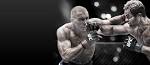 UFC Undisputed 3 - PlayStation 3, PS3 game