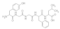 leucine_enkephalin.gif