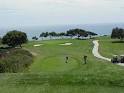 Torrey Pines Golf Green
