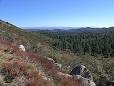 Cleveland National Forest - Wikipedia, the free encyclopedia