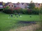 Gathering of dog owners, - via Daymix