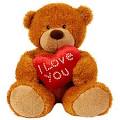 Teddy Bears Paradise
