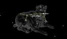 PETA demands astronomers quit referring to Sirius as 'Dog Star ...
