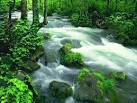 wonderful natural creation
