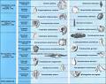 Relative dating - CreationWiki, the encyclopedia of creation science