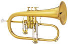 KING FLUGELHORN LEGEND 2020 INCLUDES CASE at MusiciansBuy!