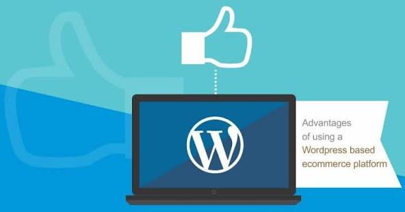 6 Advantages of Choosing WordPress For Your Ecommerce Website