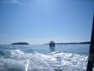 The return to port from a fishing trip. - via Daymix