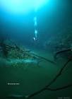 Amazing Underwater River : Cenote Angelita in Mexico