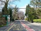 ST1797 : Bus stop and bat - via Daymix