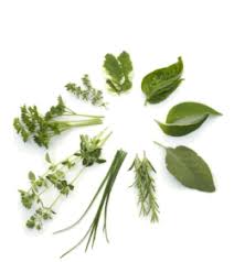 natural cures diabetes