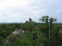 [ROLEO + OBTENCIÓN] Excursión a Yavin IV... [Revisado] Images?q=tbn:ANd9GcQRS-5_KaeUhPbRjUqz0NY9sK9f-w7nBovNFC10in5dGwj16Qyh