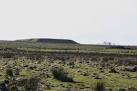 The fields in front of this bing are being planted with new trees as part of - via Daymix
