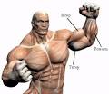 Fast Muscle Building Nutrition with These 3 Foods
