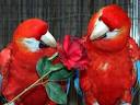 Top 10 weird and wonderful niche dating sites | Features