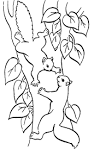COLOREA TUS DIBUJOS: Ardillas jugando en árbol para colorear