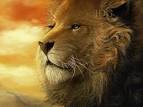 aslan by ~jovee on deviantART