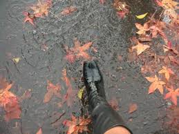 images?q=tbn:ANd9GcQRweEZjigz9_XKqBMtl5vHHnDKfOarw67HcjbEdYdWzgb6meo18luXezPb