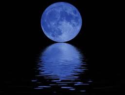 http://t2.gstatic.com/images?q=tbn:ANd9GcQRzhZg-WPav0rnJmfD_Pk24itHtNlNhgpyfwW61nlm5spOKm4SFQ