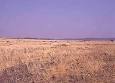 The Desert Biome