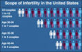The scope of <b>infertility</b>.