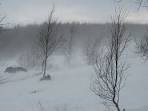 Blizzard Pictures and Images