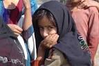 Kashmiri Girl, a photo from Jammu and Kashmir, North | TrekEarth