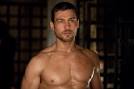 Andy Whitfield's Unofficial